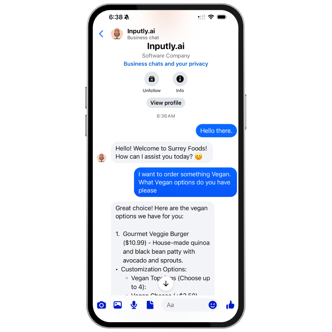 Facebook Messenger Chat Interface